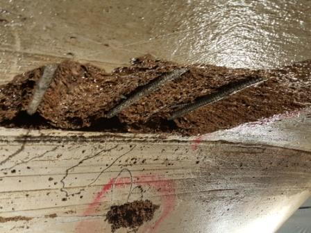 AIA Tower exposed reinforcing steel AIA Tower exposed reinforcing steel